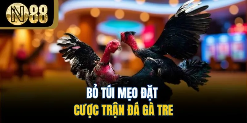 Bỏ túi mẹo đặt cược trận đá gà tre