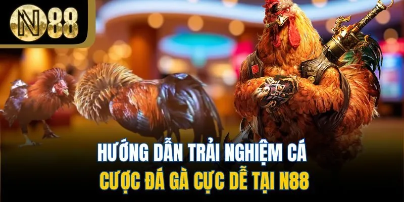 Hướng dẫn trải nghiệm cá cược đá gà cực dễ tại N88