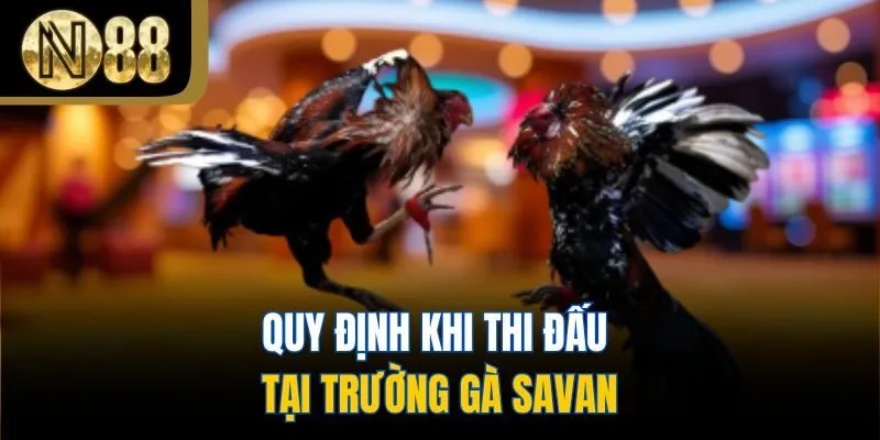 Quy định khi thi đấu tại trường gà Savan