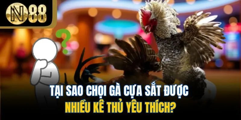 Tại sao chọi gà cựa sắt được nhiều kê thủ yêu thích?