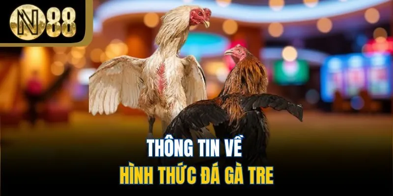 Khái quát về loại hình đá gà tre