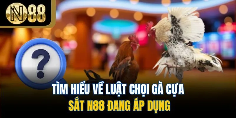 Tìm hiểu về luật chọi gà cựa sắt N88 đang áp dụng